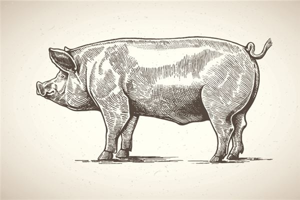 姓名測(cè)分_周逸馨