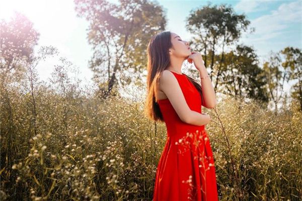 起名打分:吳安順