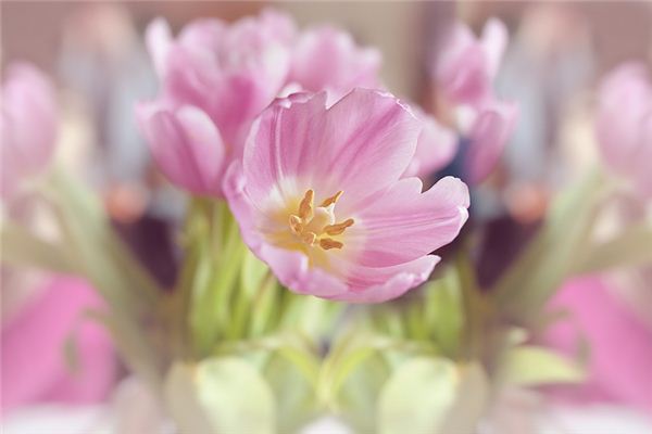 寶寶取名打分:吳芝宇