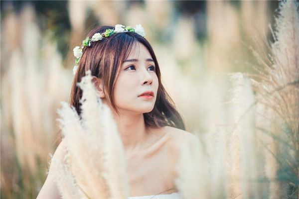 姓名愛去游打分得分_取名愛去游五格分析 第1張 姓名愛去游打分得分_取名愛去游五格分析 第1張
