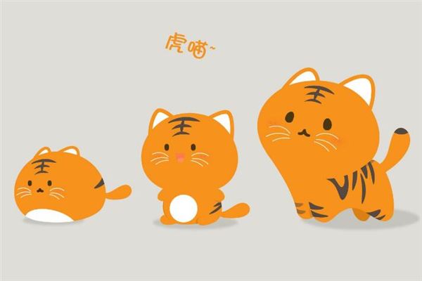 品牌取名(茶葉品牌取名)