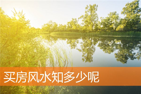 游戲英文網(wǎng)名(游戲英文網(wǎng)名男生霸氣冷酷)