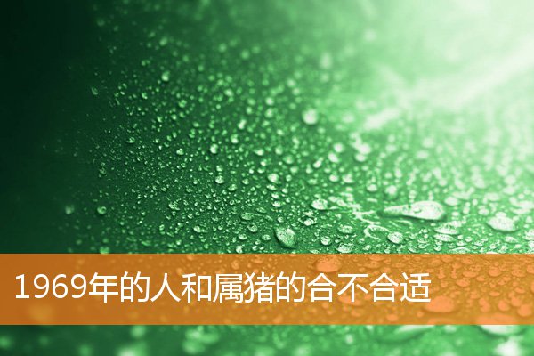 鄭婷婷這個名字多少分 第1張 鄭婷婷這個名字多少分 第1張
